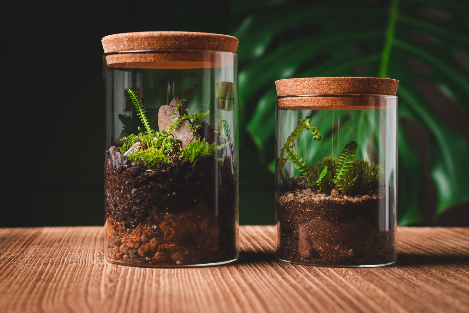 Jars and Planters