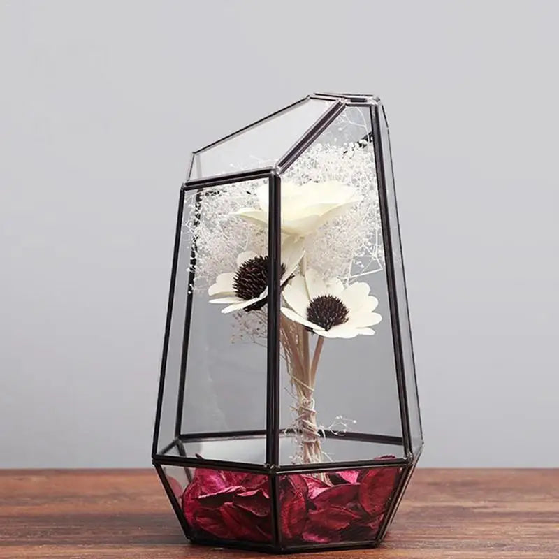 Elegant Six-Sided Glass Terrarium