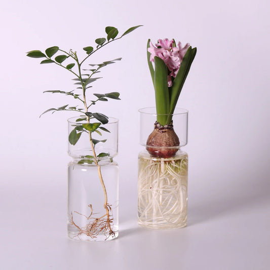 Magideal Clear Hyacinth Glass Vase Creative Flower Planter Pot DIY Terrarium Container Decor Art Gift Home Decoration