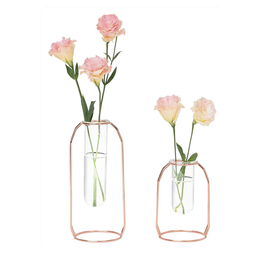 Glass Vase with Metal Frame 24Cm/9'' Transparent Cylinder Vase Planter Terrariums Flower Holder for Office Home Desk Shelf Decor