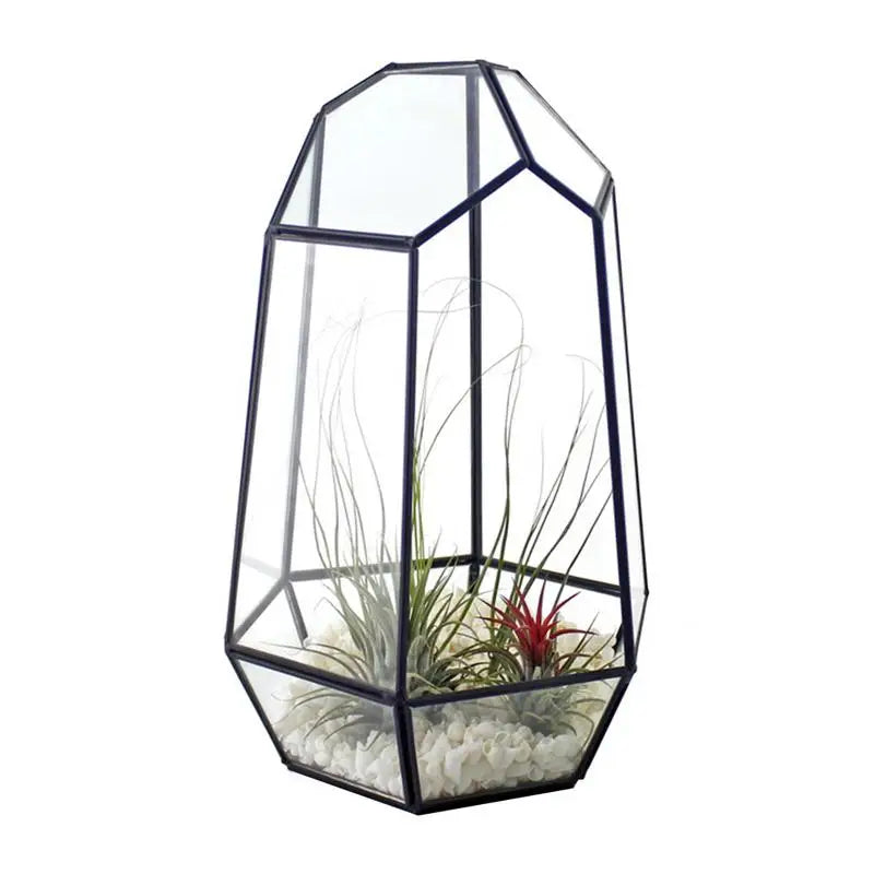 Elegant Six-Sided Glass Terrarium