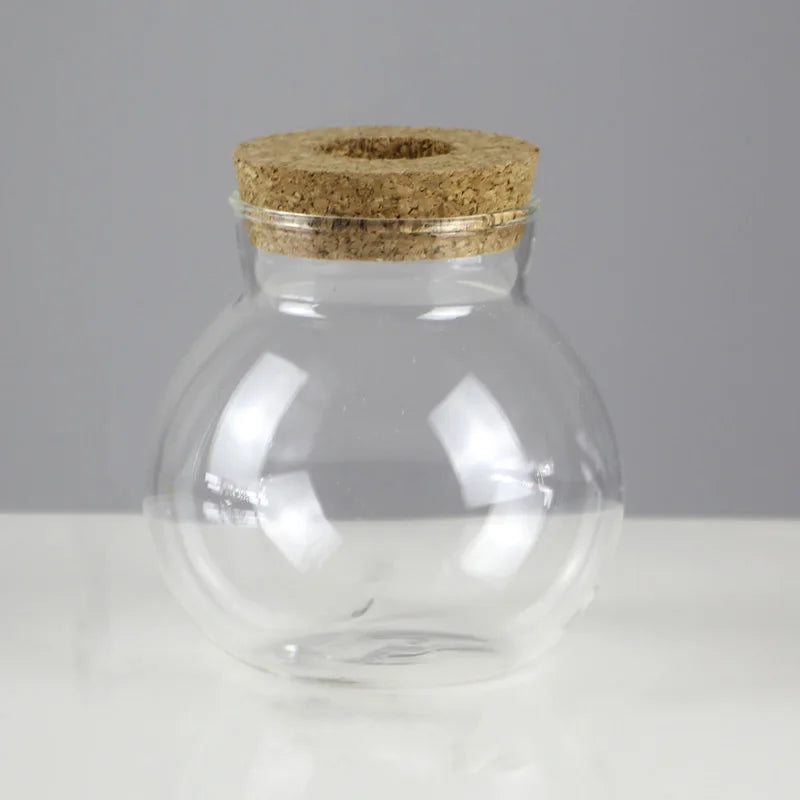 Glass Soilless Propagation Vase with Cork Lid