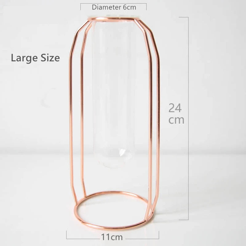 Glass Vase with Metal Frame 24Cm/9'' Transparent Cylinder Vase Planter Terrariums Flower Holder for Office Home Desk Shelf Decor