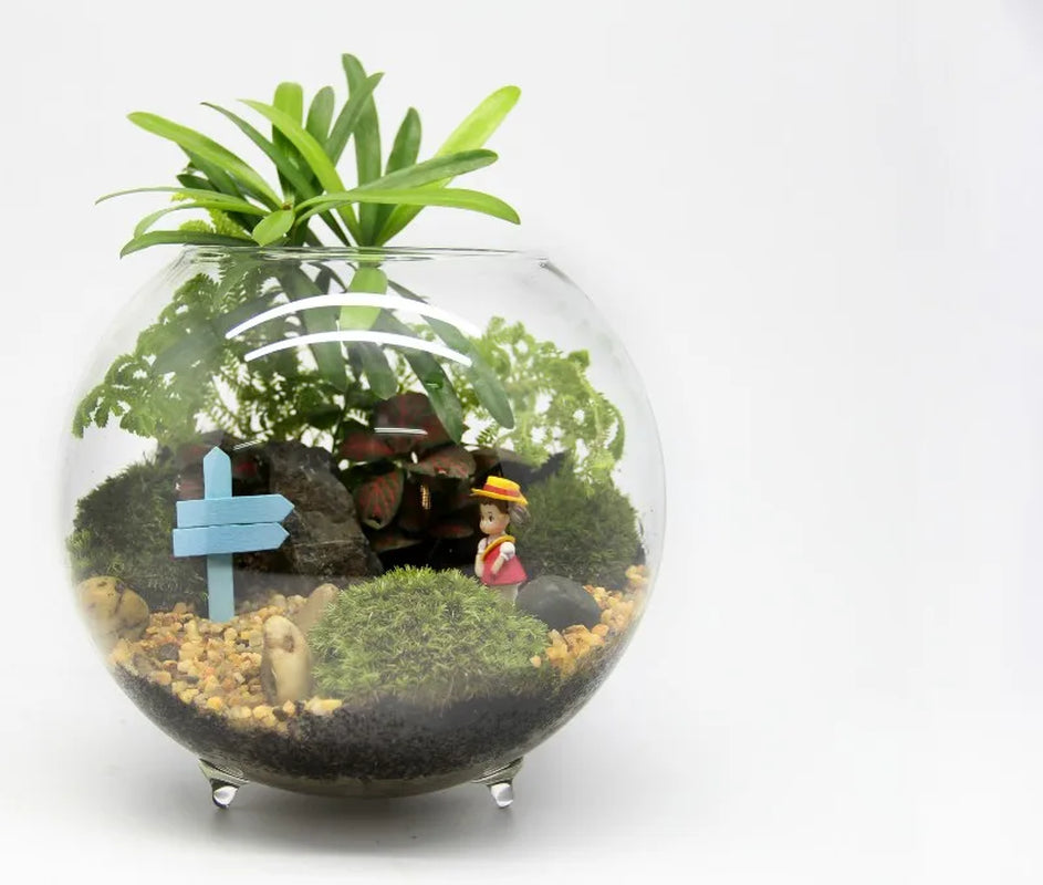 Glass Bubble Terrarium & Aquarium Vase