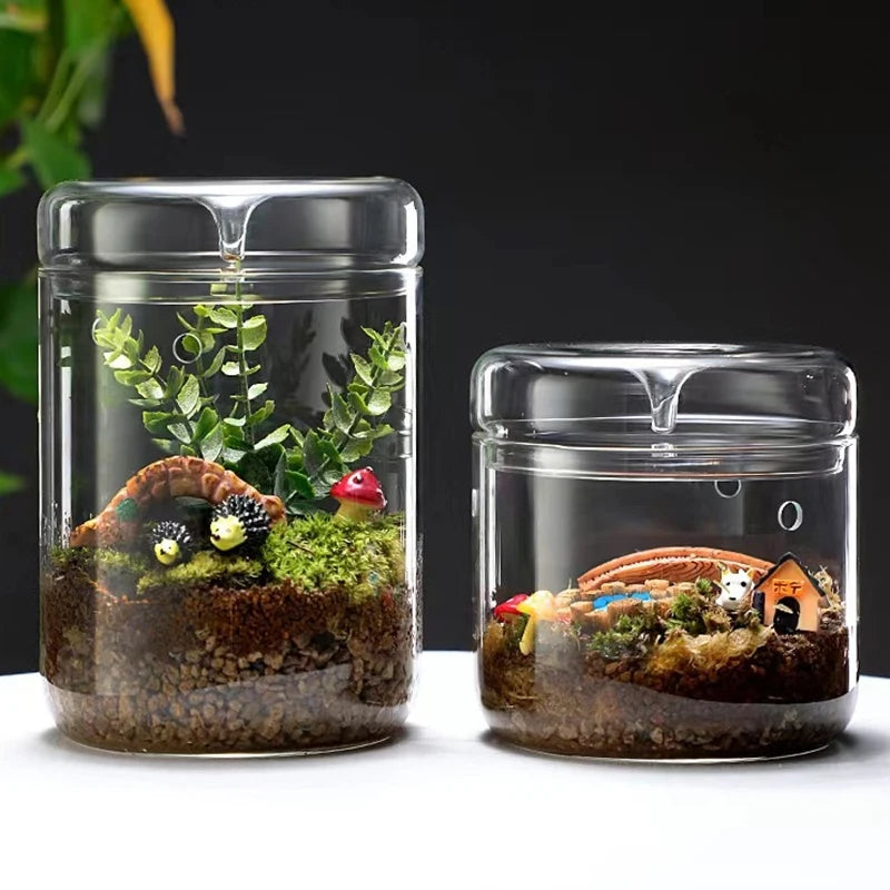 Glass Bottles Creativity Dew Collection Glass Vase Micro Landscape Succulent Moss Bansai Landscape Glass Terrarium Home Decorati