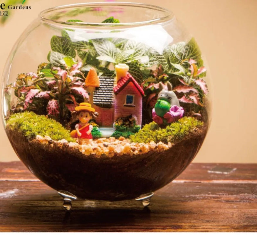 Glass Bubble Terrarium & Aquarium Vase