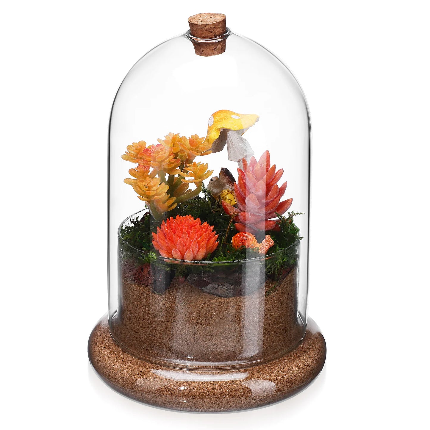 Glass Terrarium Clear Dome Terrarium Home Micro Landscape Vase Terrarium Jar with Air Hole