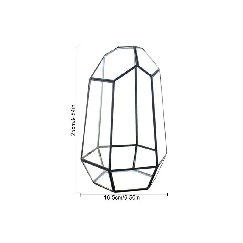 Elegant Six-Sided Glass Terrarium