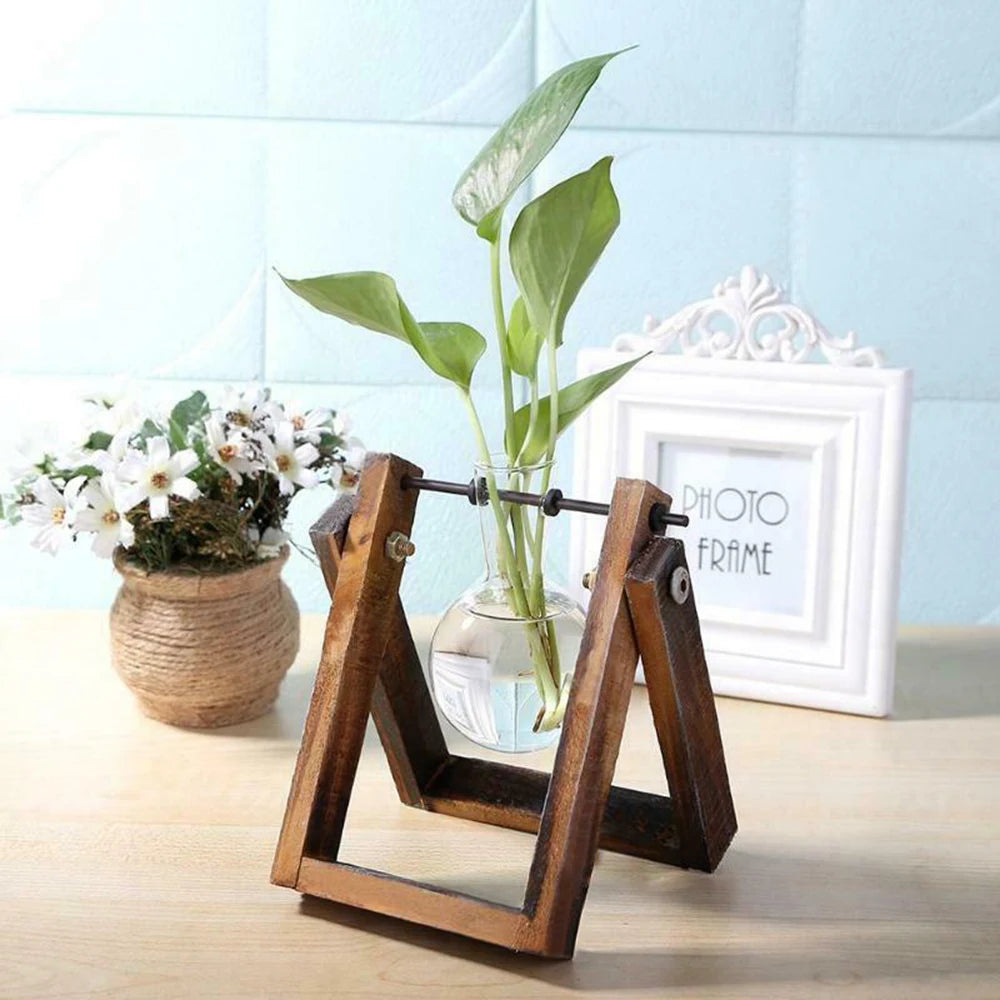 Frame Glass Vase Tabletop Propagation Station