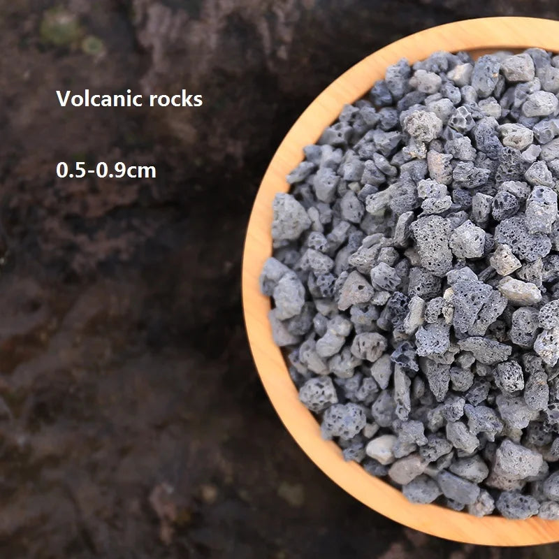 500G Succulent Plant Planting Soil Nutrient Paving Stone Volcanic Ash Soil Medical Stone Maifanstone Volcanic Rock