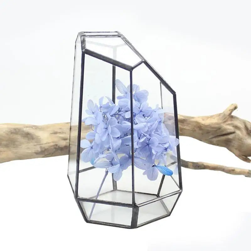 Elegant Six-Sided Glass Terrarium