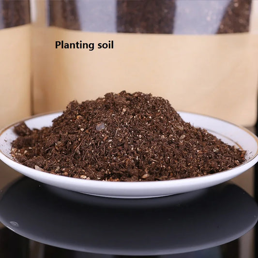 500G Succulent Plant Planting Soil Nutrient Paving Stone Volcanic Ash Soil Medical Stone Maifanstone Volcanic Rock