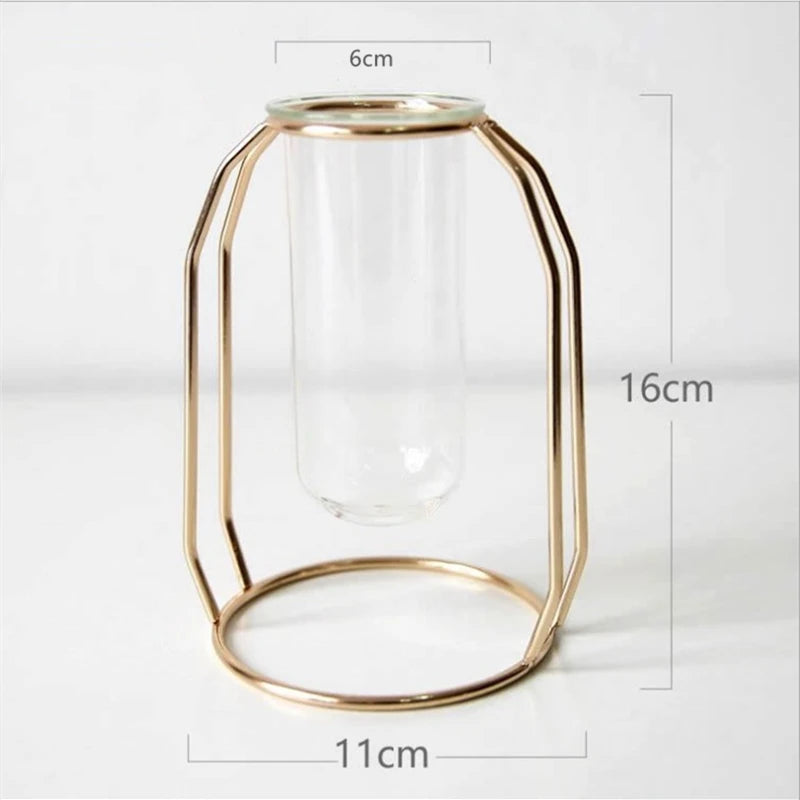 Glass Vase with Metal Frame 24Cm/9'' Transparent Cylinder Vase Planter Terrariums Flower Holder for Office Home Desk Shelf Decor