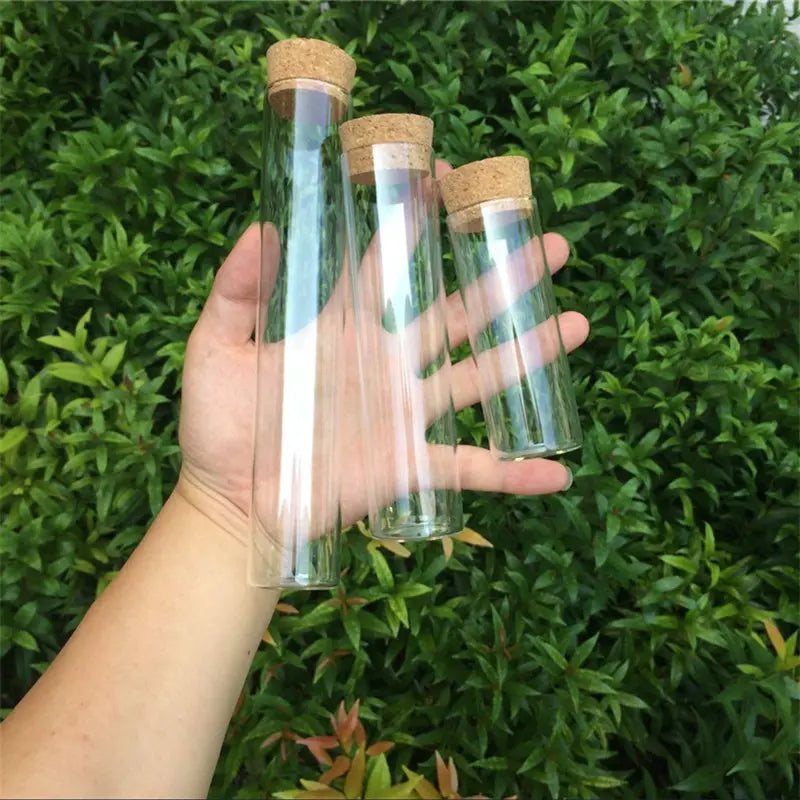 Miniature Glass Terrarium Bottles with Cork Stoppers (Set of 6)