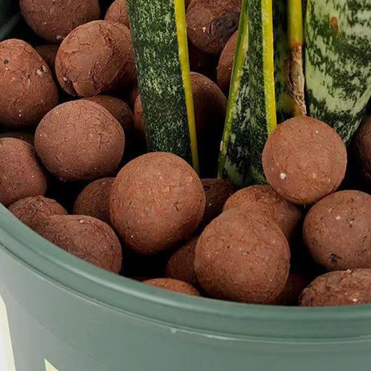 Soil Ceramsite Gardening Potted Balls Clay Succulent Stones for Bottom Permeable Clay Ceramic Granule Soil Cultivation Substrate