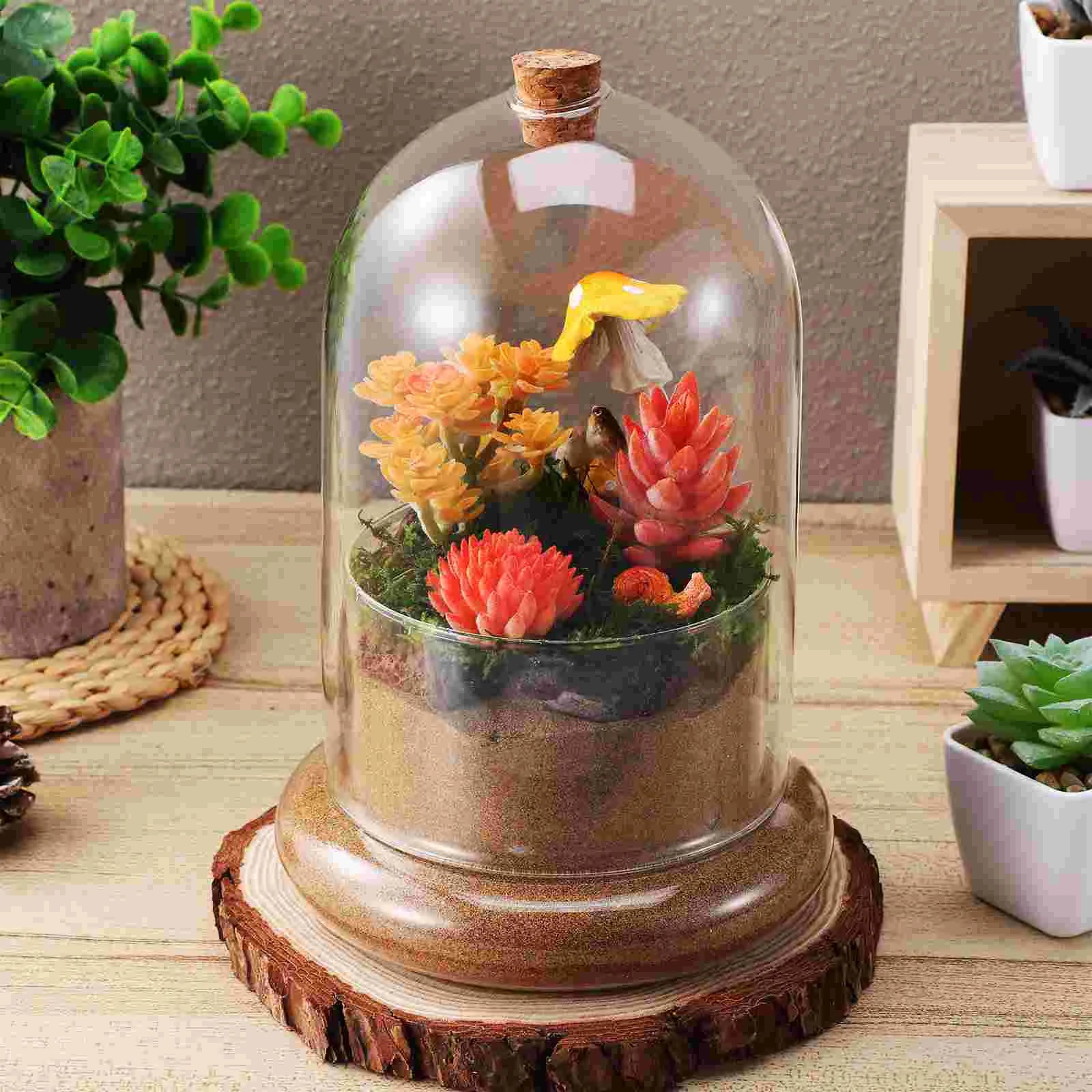 Glass Terrarium Clear Dome Terrarium Home Micro Landscape Vase Terrarium Jar with Air Hole