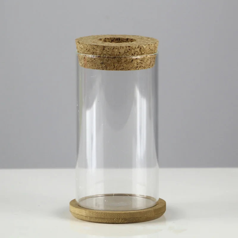 Glass Soilless Propagation Vase with Cork Lid