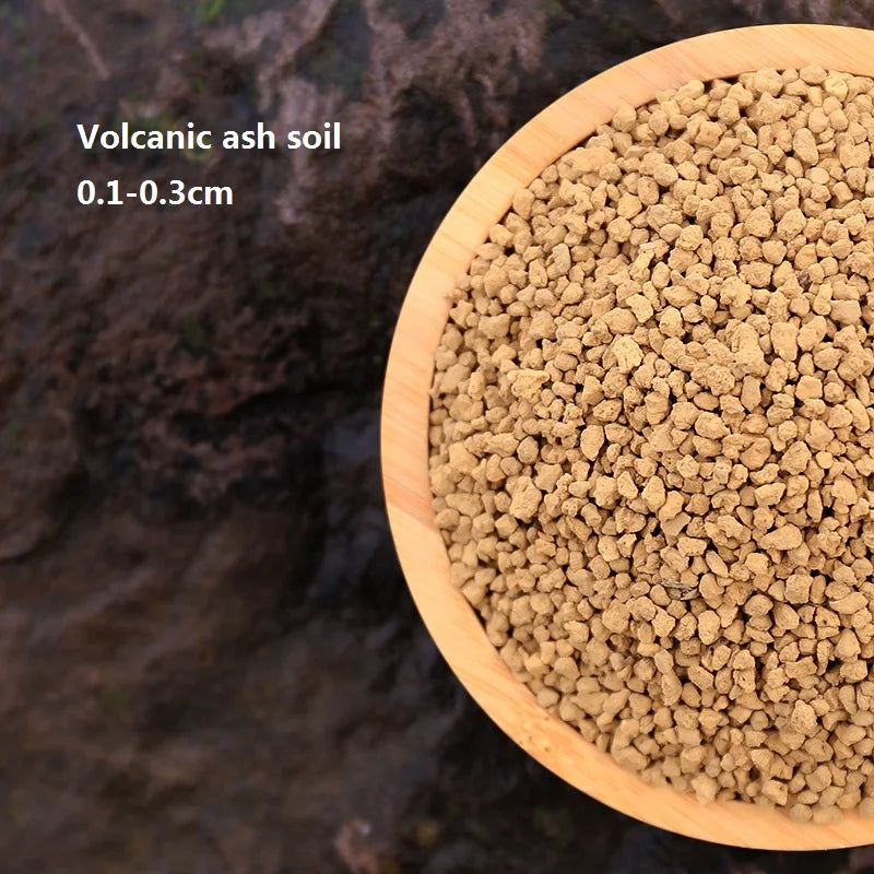 500G Succulent Plant Planting Soil Nutrient Paving Stone Volcanic Ash Soil Medical Stone Maifanstone Volcanic Rock