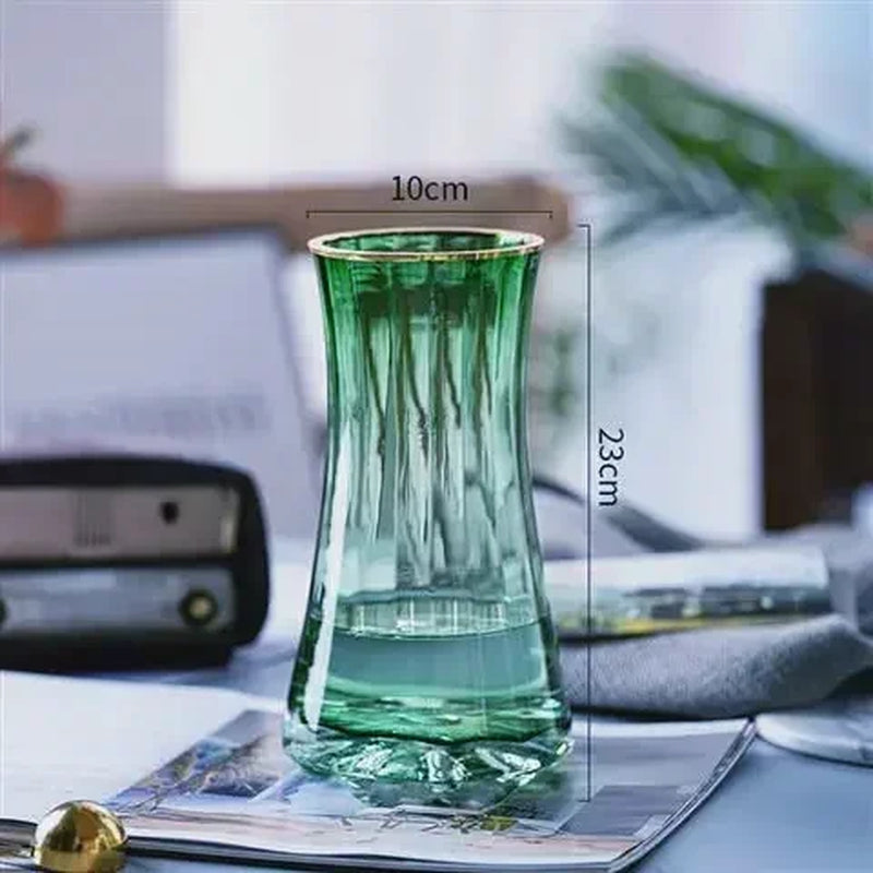 Light Luxury Gold-Painted Creative Simple Transparent Glass Vase, Water-Grown Flowers Lily Nordic Living Room Flower Arrangement