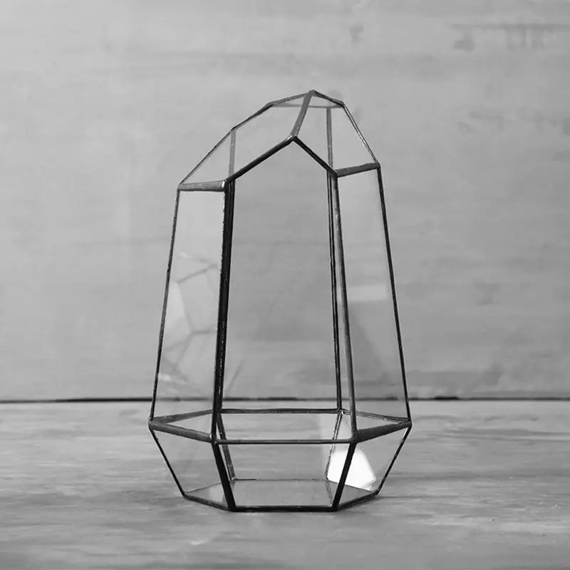 Elegant Six-Sided Glass Terrarium