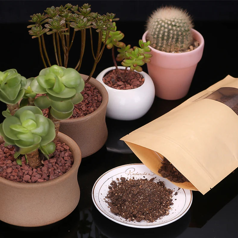 500G Succulent Plant Planting Soil Nutrient Paving Stone Volcanic Ash Soil Medical Stone Maifanstone Volcanic Rock