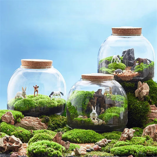 Micro Landscape Moss Bryophyte Glass Vase with Cork Fresh Green Moss Bottle Glass Terrarium Creative Hydroponic Plant Container