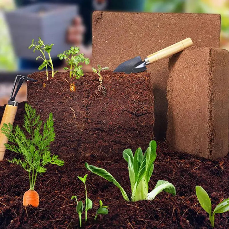 Natural Organic Planting Coco Nutrient Soil Substrate Coconut Coir Bricks Planting Coco Nutrient Soil Substrate Blocks 650G