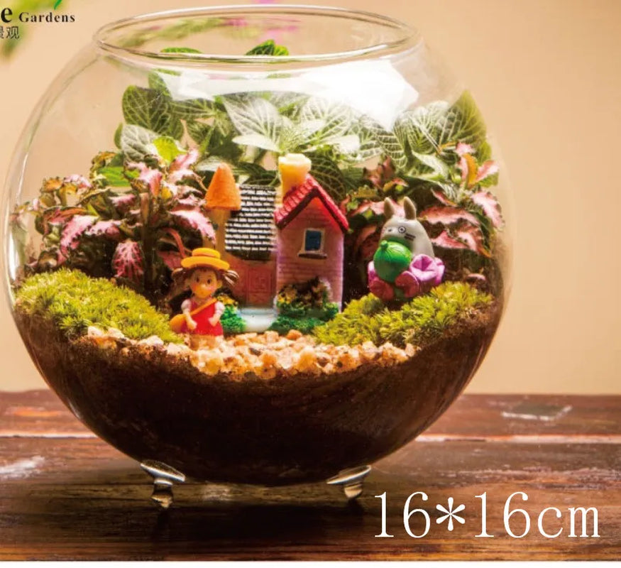 Glass Bubble Terrarium & Aquarium Vase