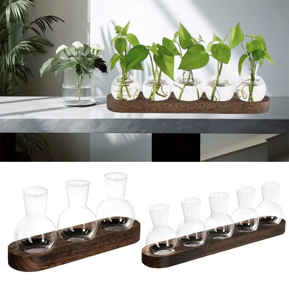 Glass Planter Bulb Propagation Station with Wooden Tray