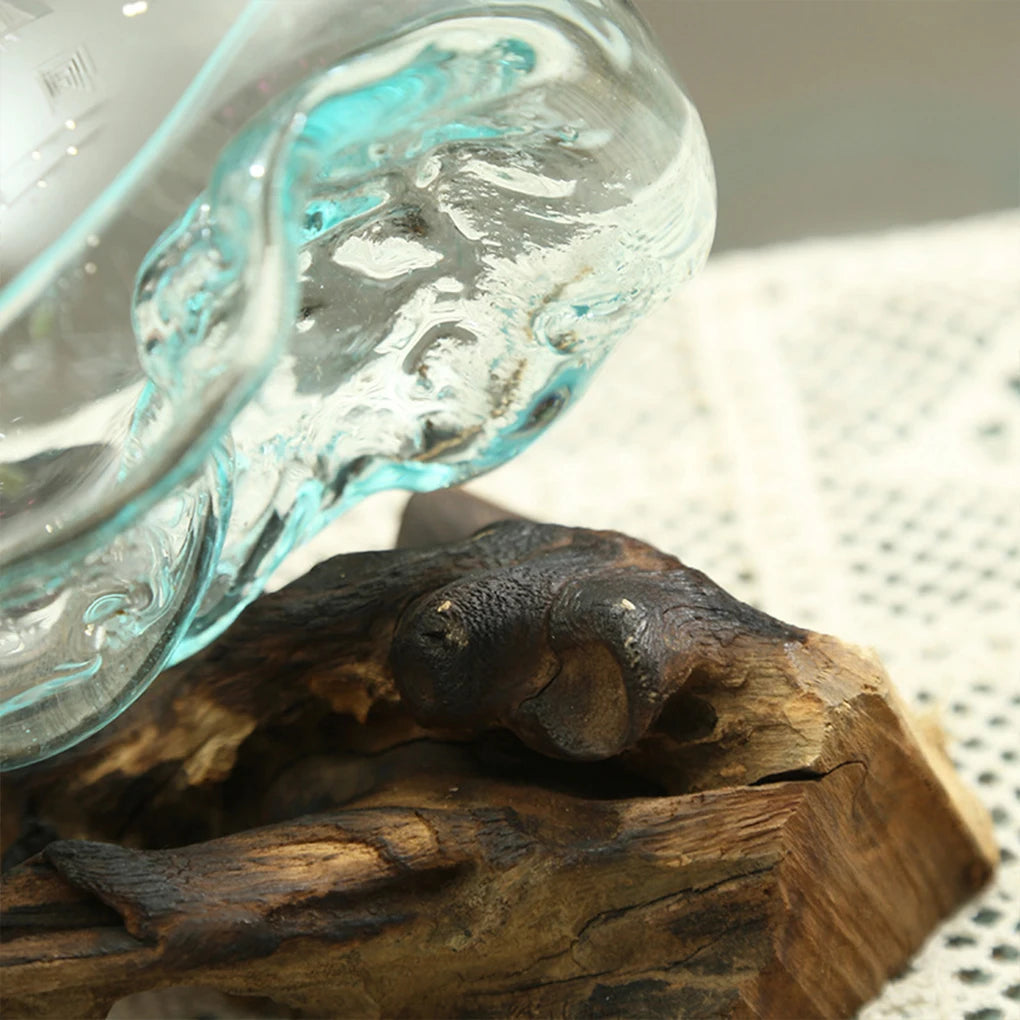 Driftwood Terrarium Bowl