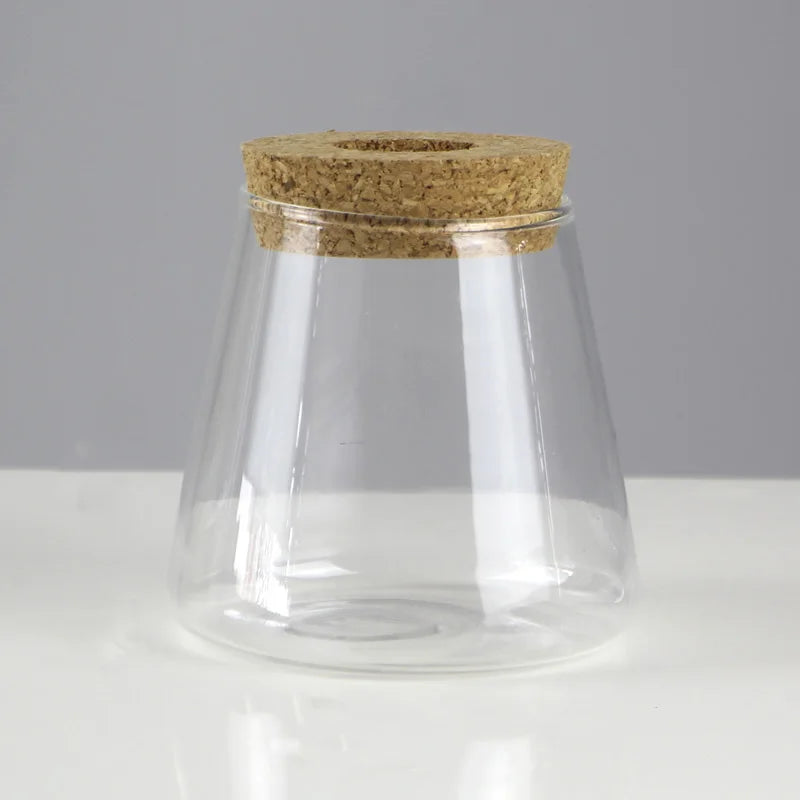 Glass Soilless Propagation Vase with Cork Lid