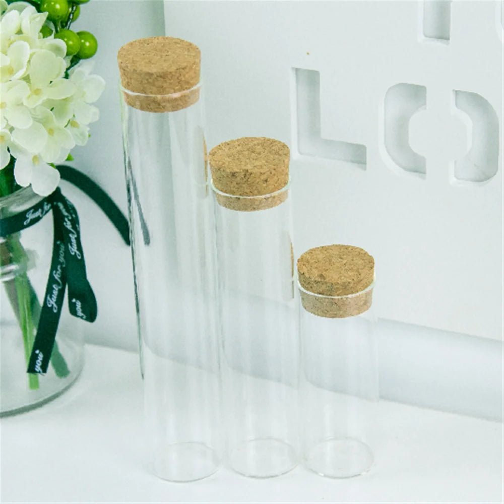 Miniature Glass Terrarium Bottles with Cork Stoppers (Set of 6)