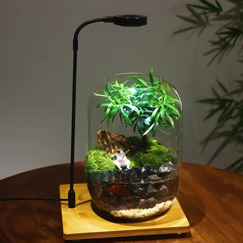 Glass Terrarium for Micro Landscapes and Indoor Gardens