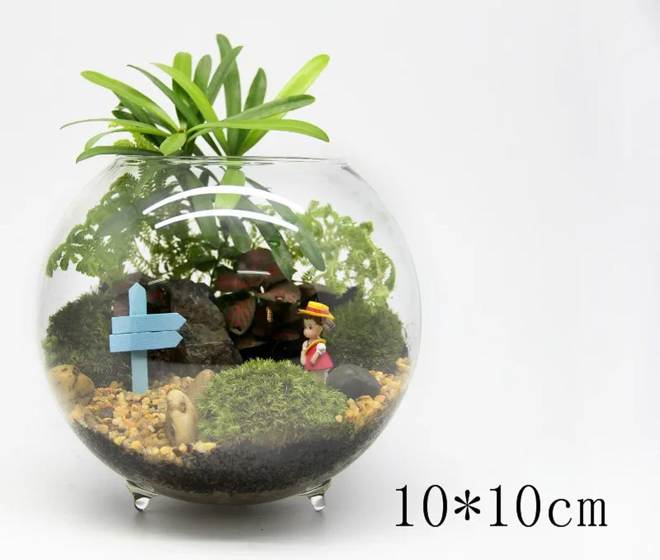 Glass Bubble Terrarium & Aquarium Vase