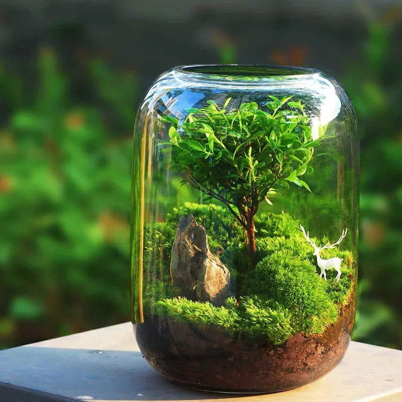 Glass Terrarium for Micro Landscapes and Indoor Gardens