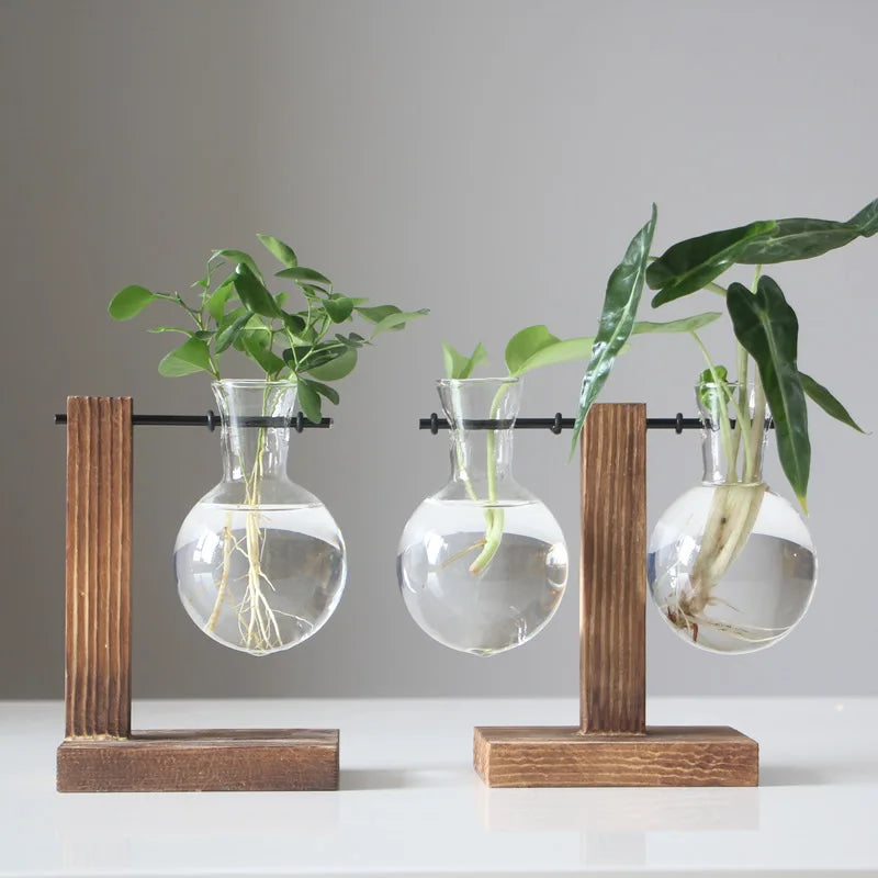 Frame Glass Vase Tabletop Propagation Station