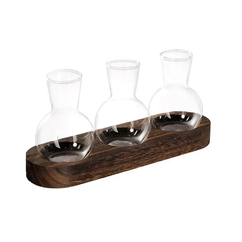 Glass Planter Bulb Propagation Station with Wooden Tray