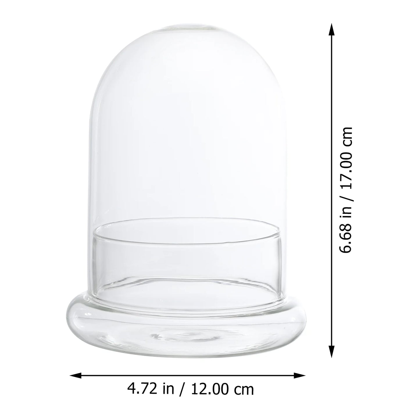 Plant Protector Cover Plastic Cloche Plant Plant Dome Protector Terrarium Bell Jar Bottle for Garden Bell Cloche