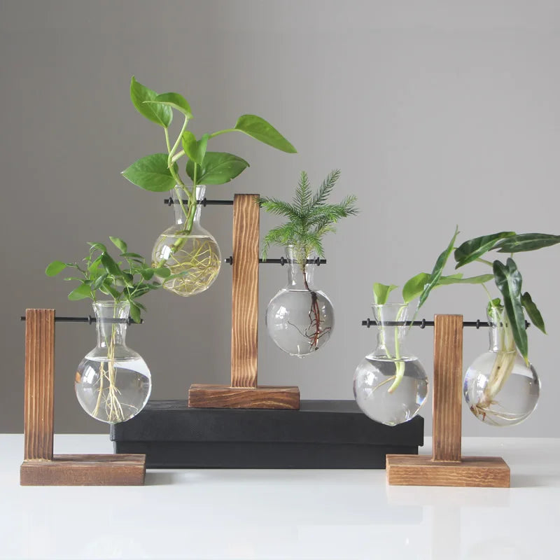 Frame Glass Vase Tabletop Propagation Station